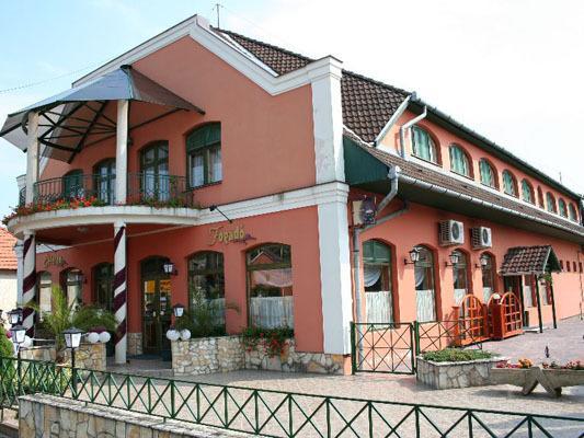 Arany Kakas Fogado Bed and Breakfast Petervasara Zewnętrze zdjęcie